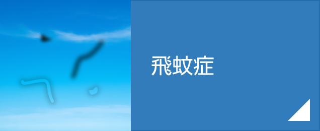飛蚊症